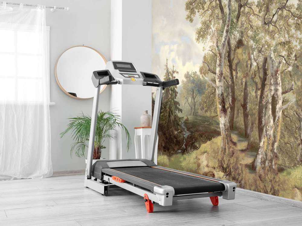 Panorama de paysage forestier en couleur