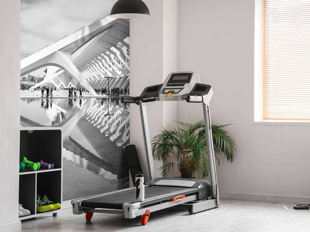 Musée des sciences - Museo de Ciencas Principe Felipe - Valencia