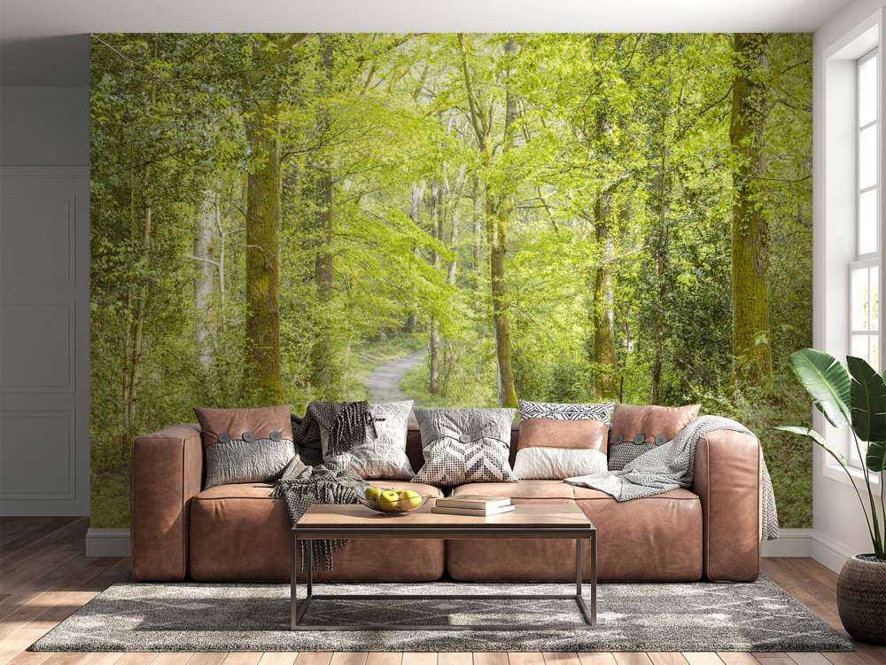 la forêt verte