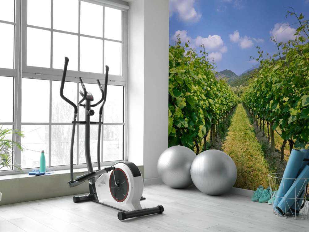 Vignoble en Italie