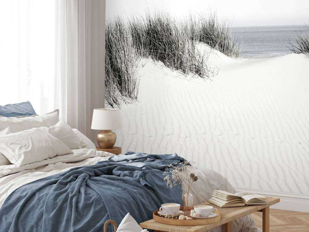 Passage de la dune à la plage noir et blanc