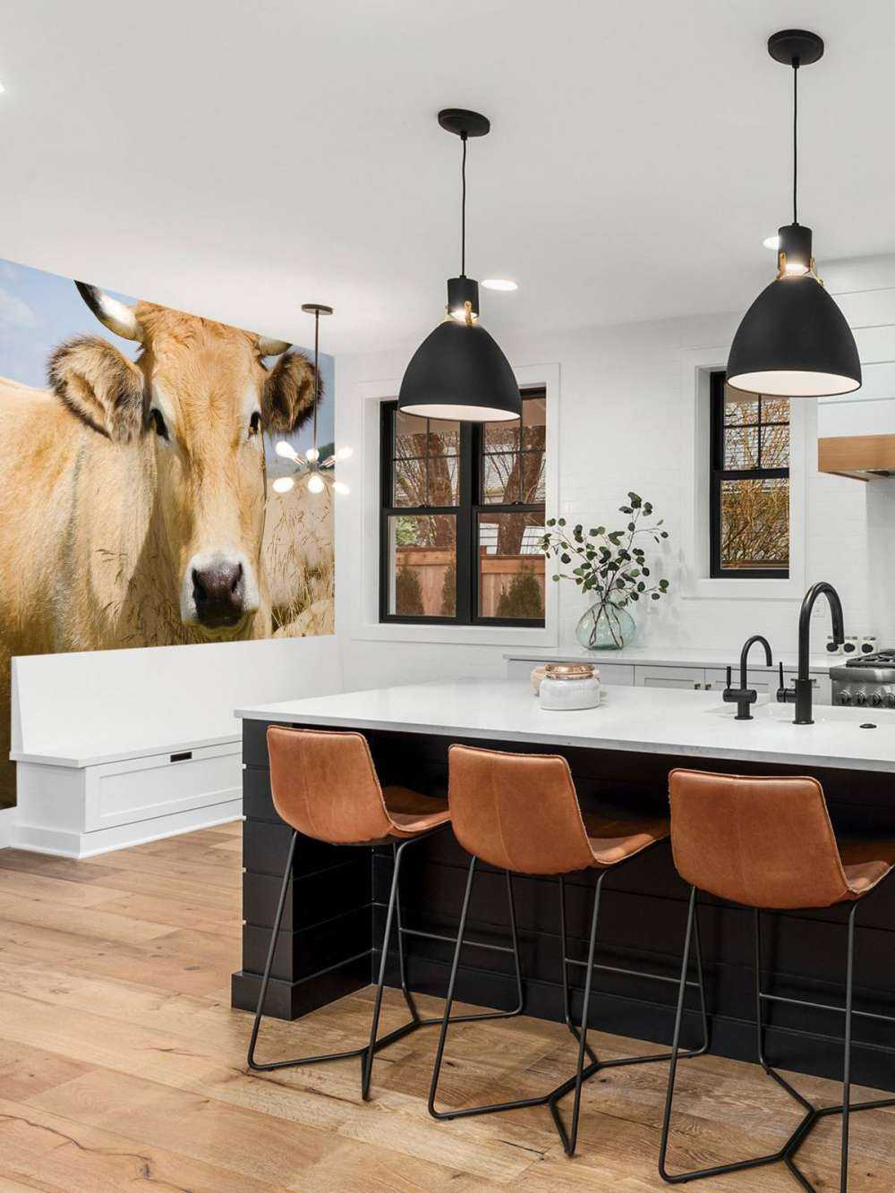 Vache à cornes
