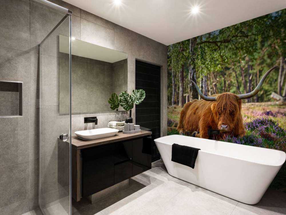 Le repos du Highland écossais