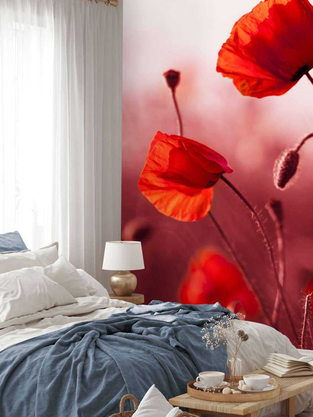 Des coquelicots dans la prairie