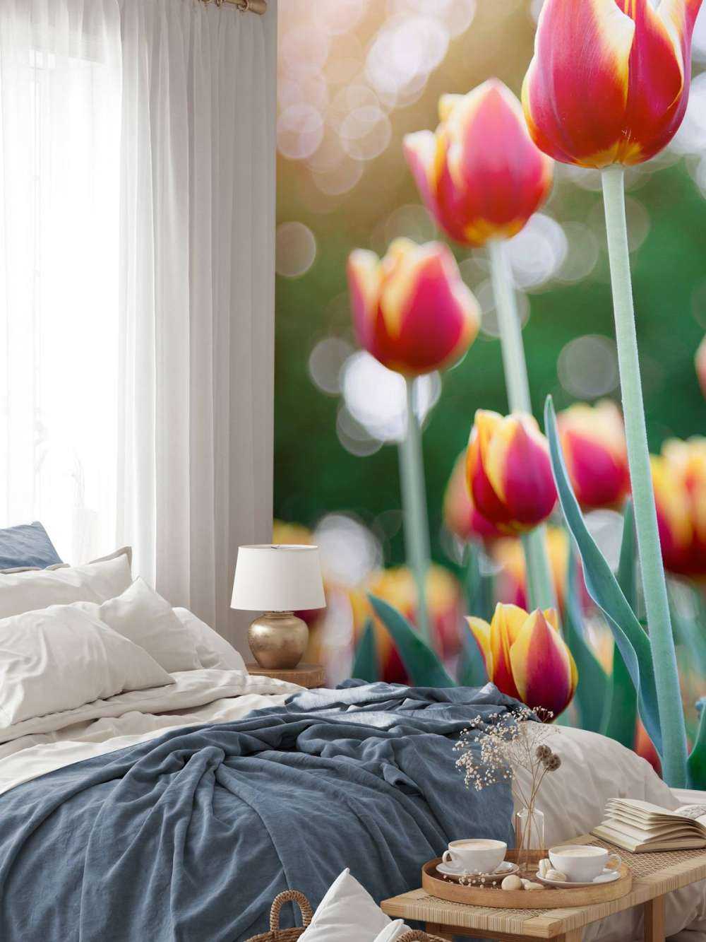 Rouge avec des tulipes jaunes