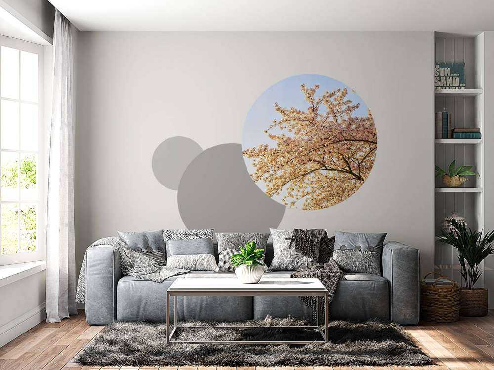 Une branche en fleur