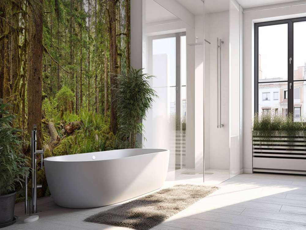 Forêt sauvage