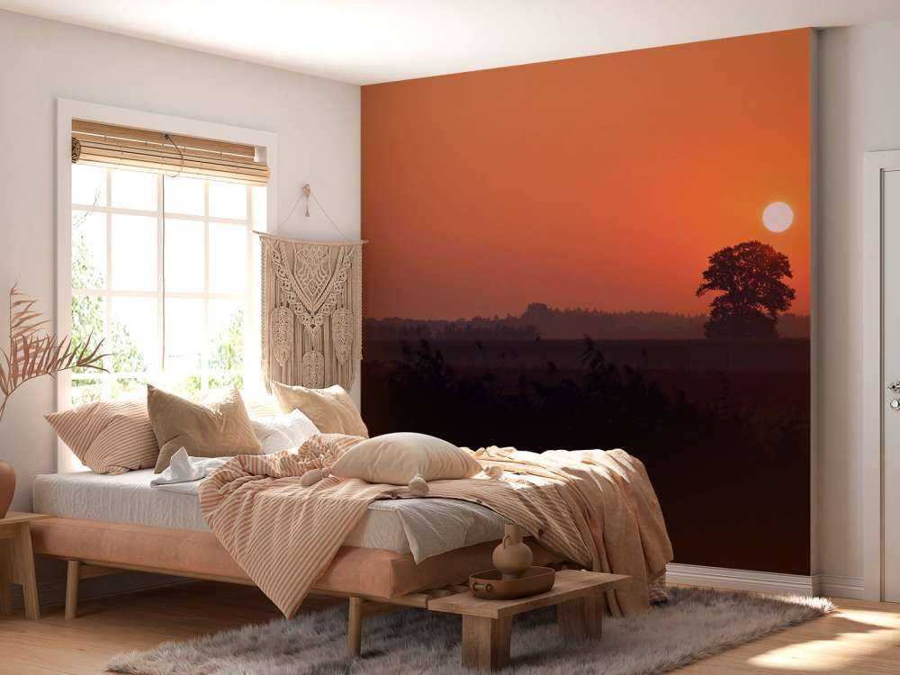 Lever du soleil