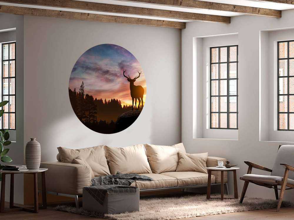 Cerf pendant le coucher du soleil