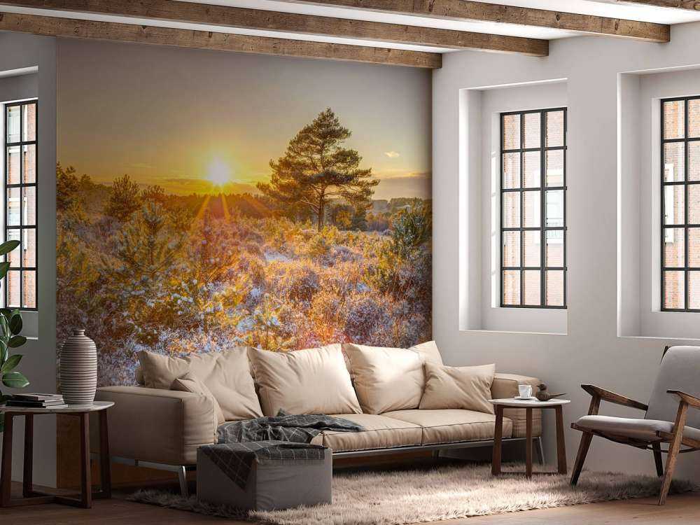 Coucher de soleil en hiver
