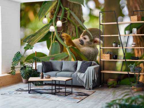 Petit singe dans les arbres