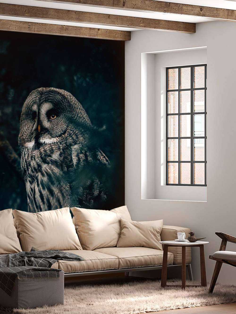 Hibou dans l'arbre