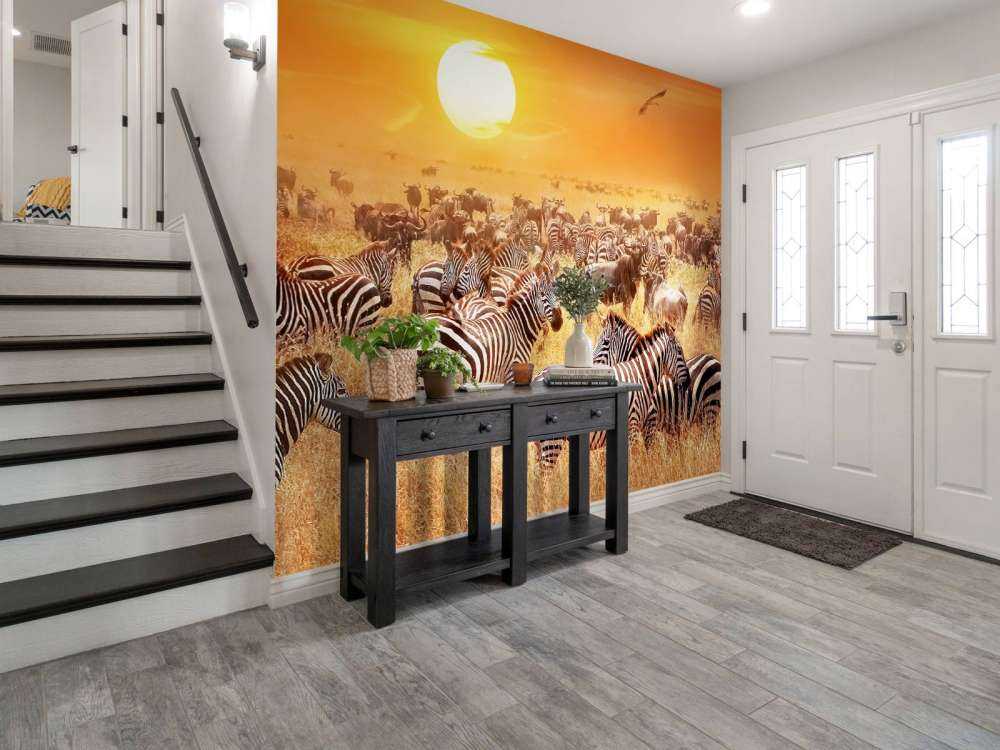 Soleil de la savane avec des zèbres