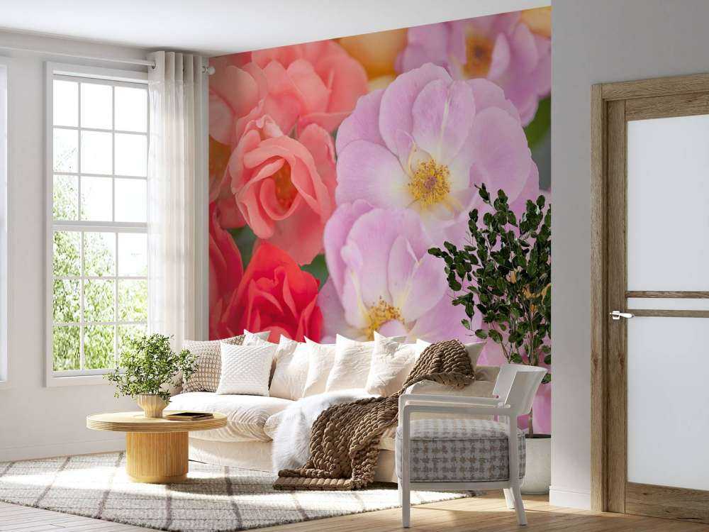Fleurs multicolores