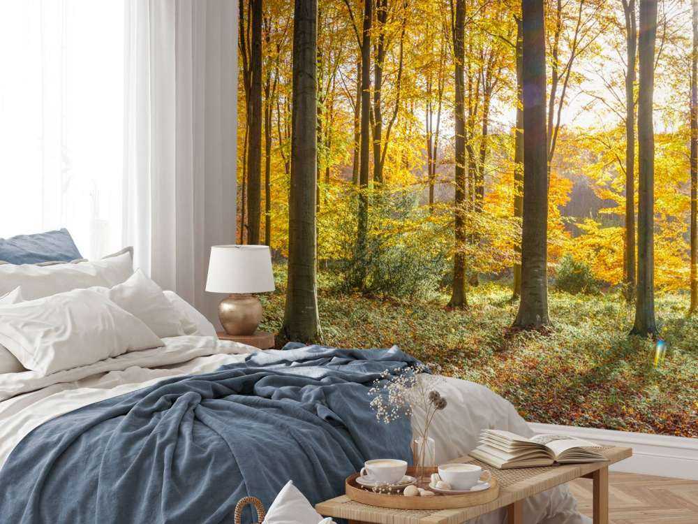 Journée d'automne ensoleillée
