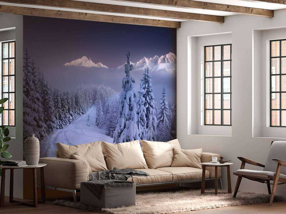 In the Winter