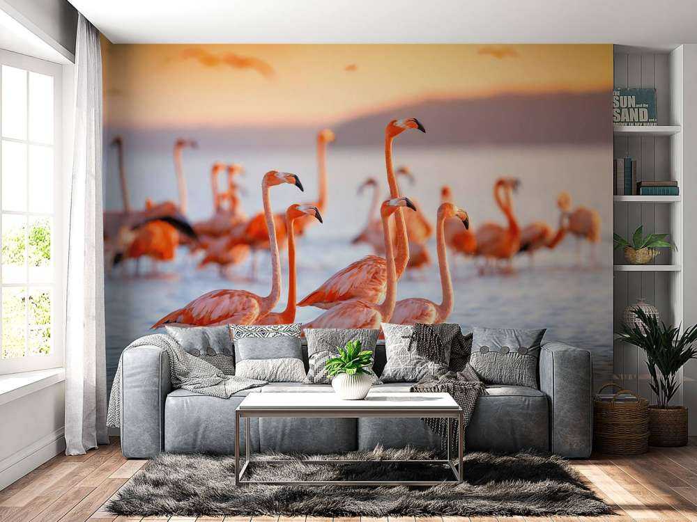 Flamants roses avec un regard fixe