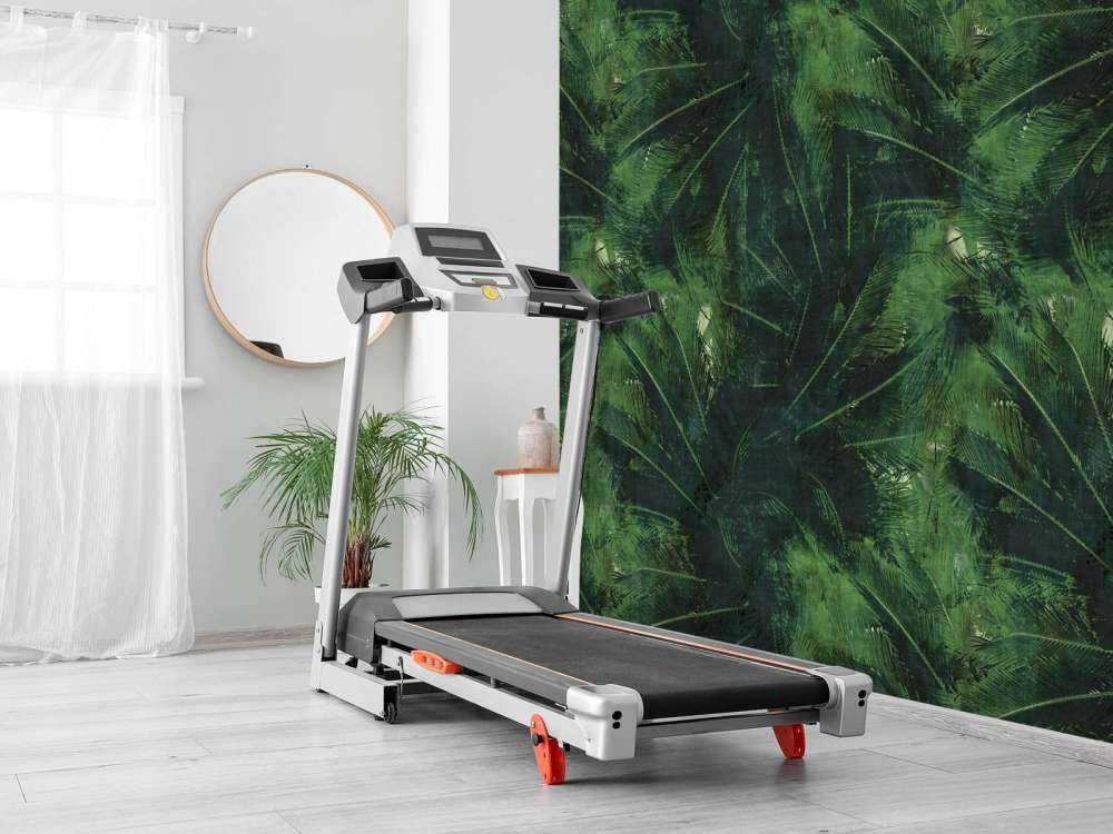 Feuilles jungle