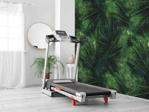 Feuilles jungle