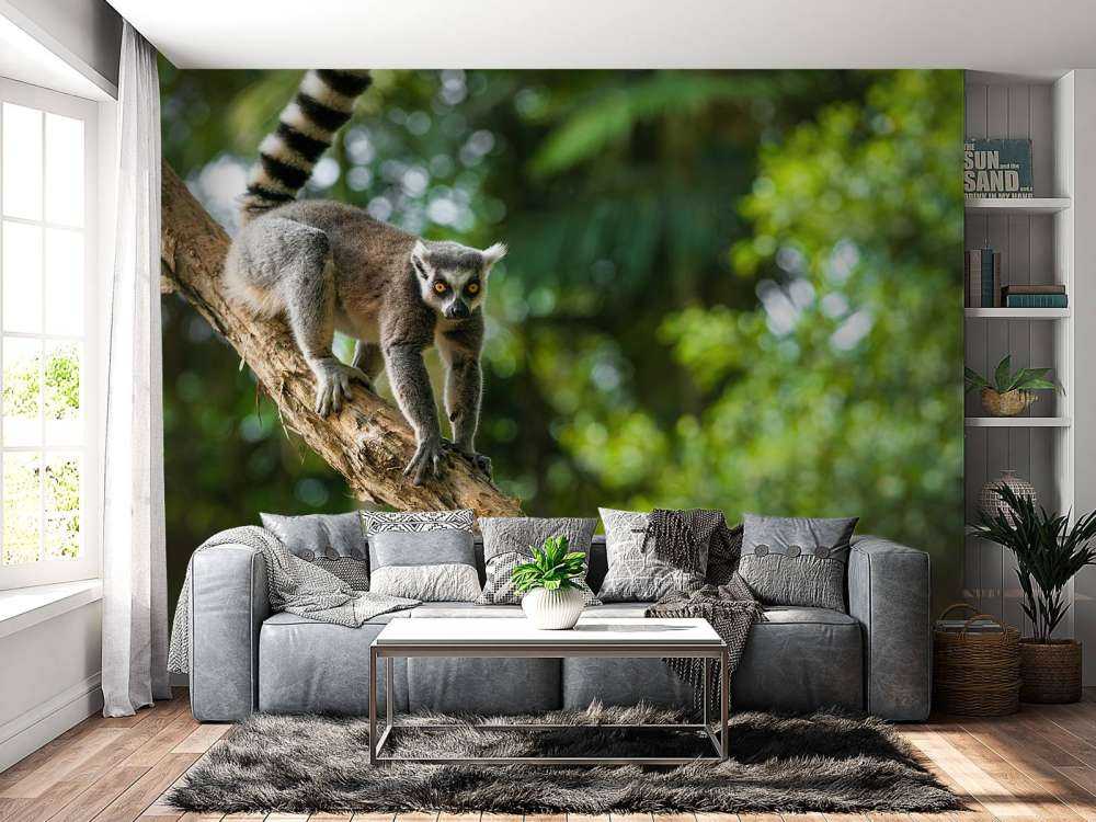 Lémurien dans un arbre