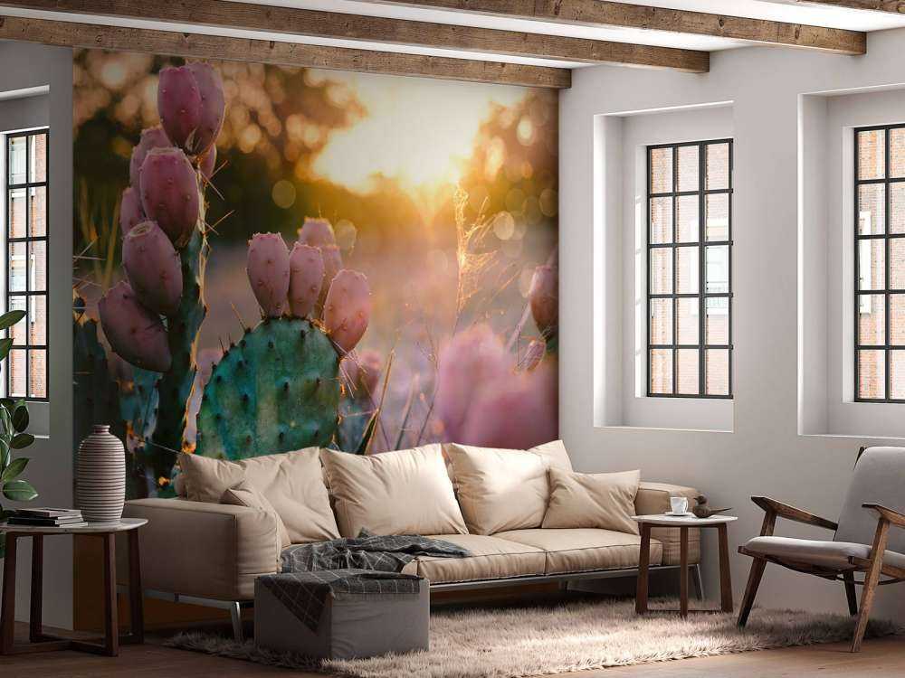 Cactus à fleurs