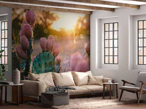 Cactus à fleurs