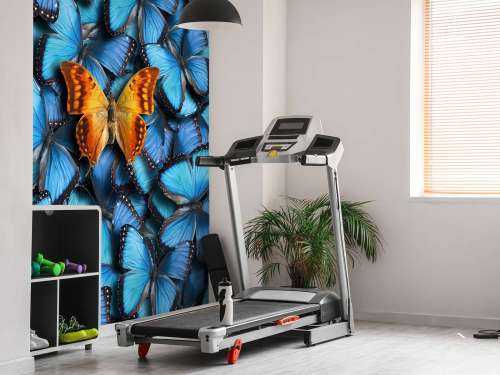 Composition du papillon
