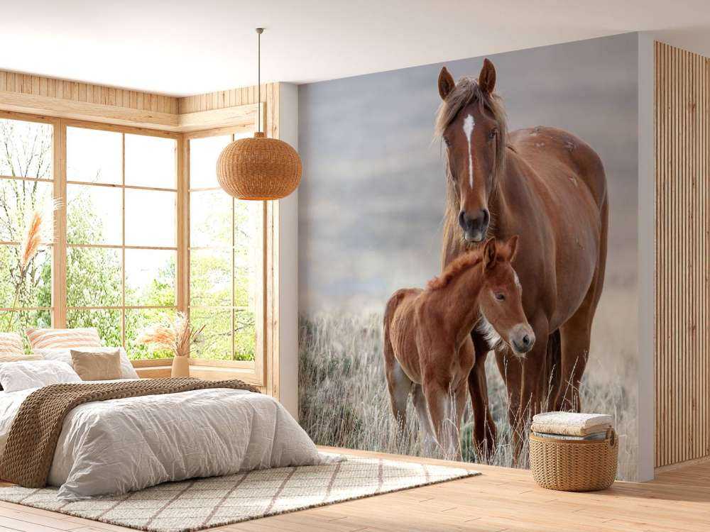 Chevaux sauvages