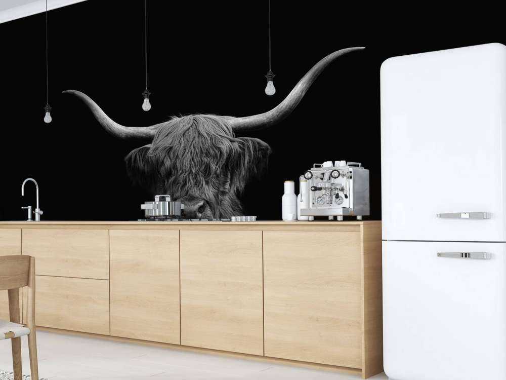 Highland écossais noir et blanc