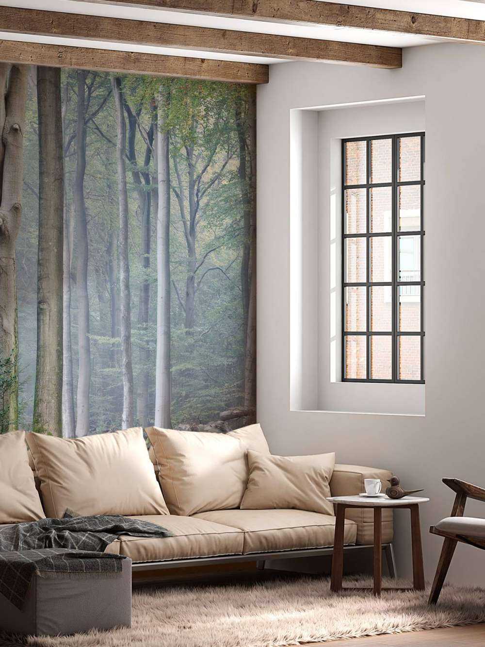 Chemin à travers la forêt