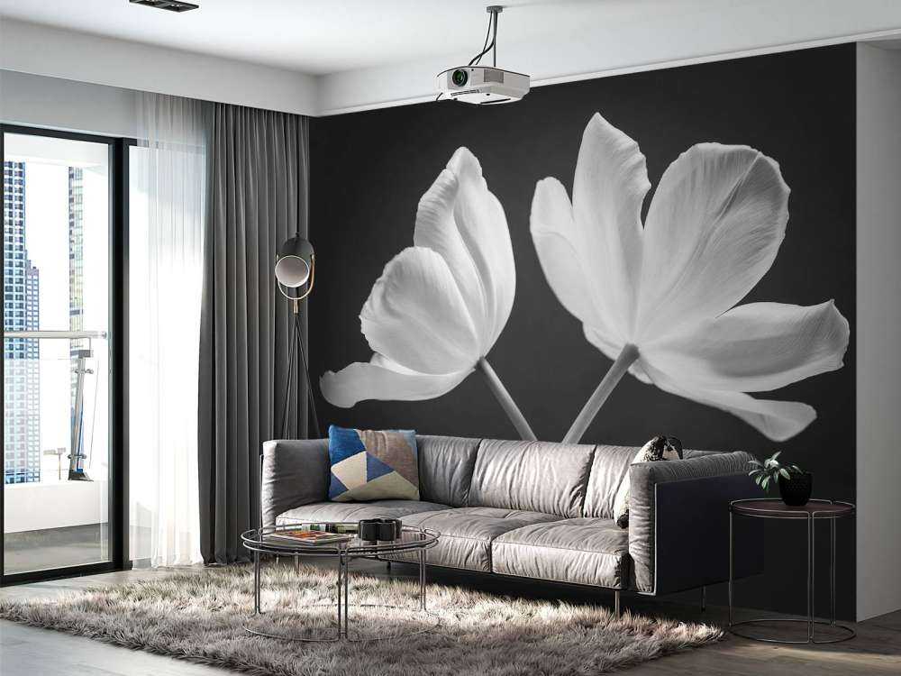 Tulipes croisées