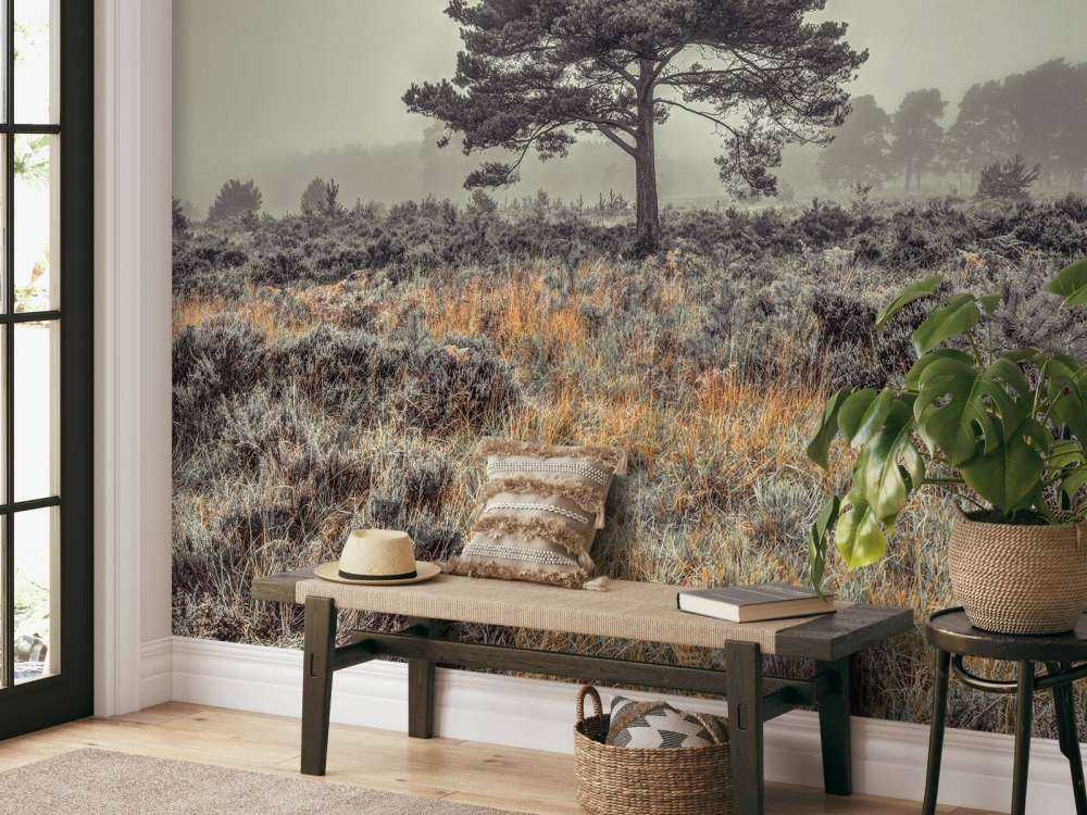 Arbre à la campagne
