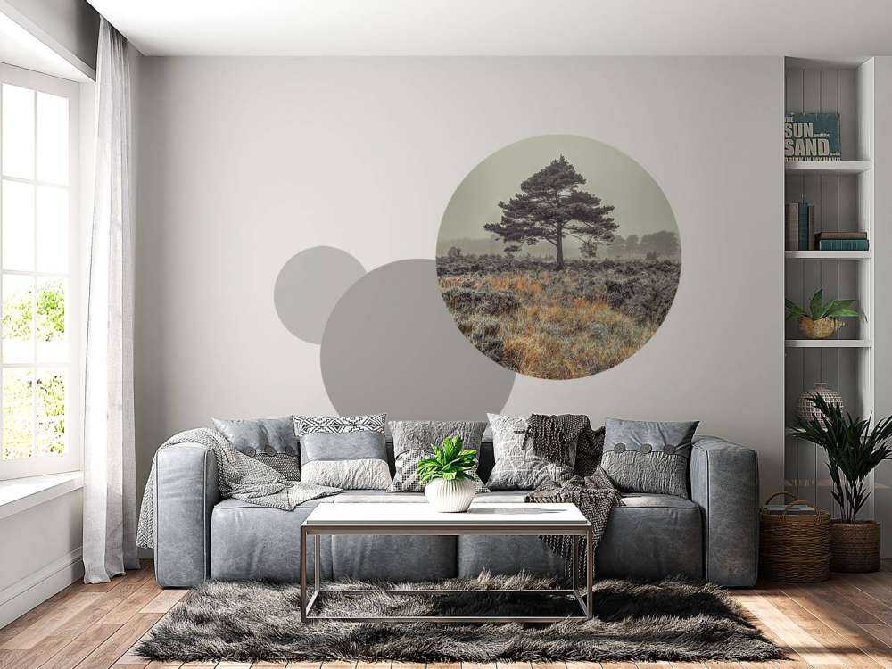 Arbre à la campagne