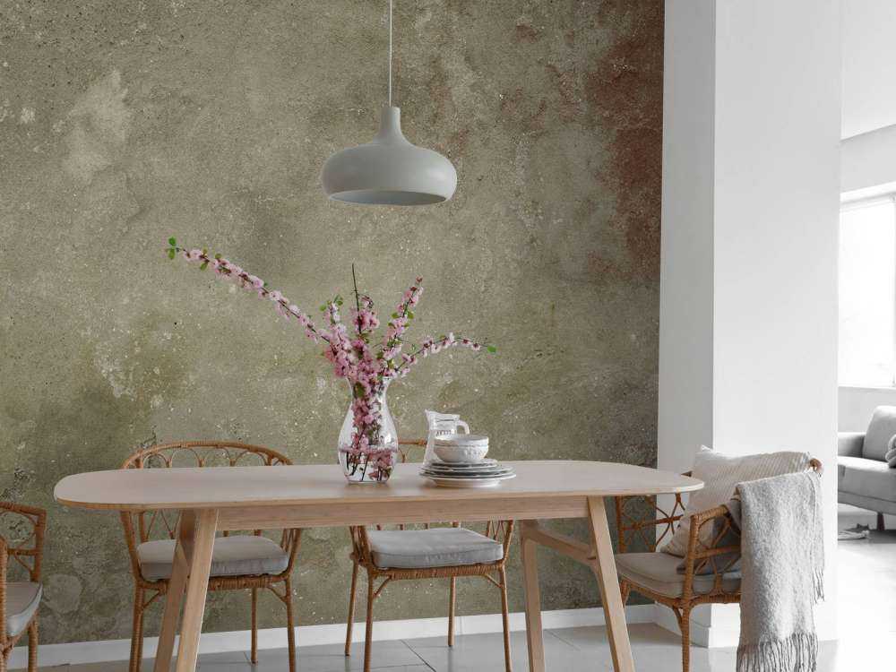 Vieux mur avec stucco altéré