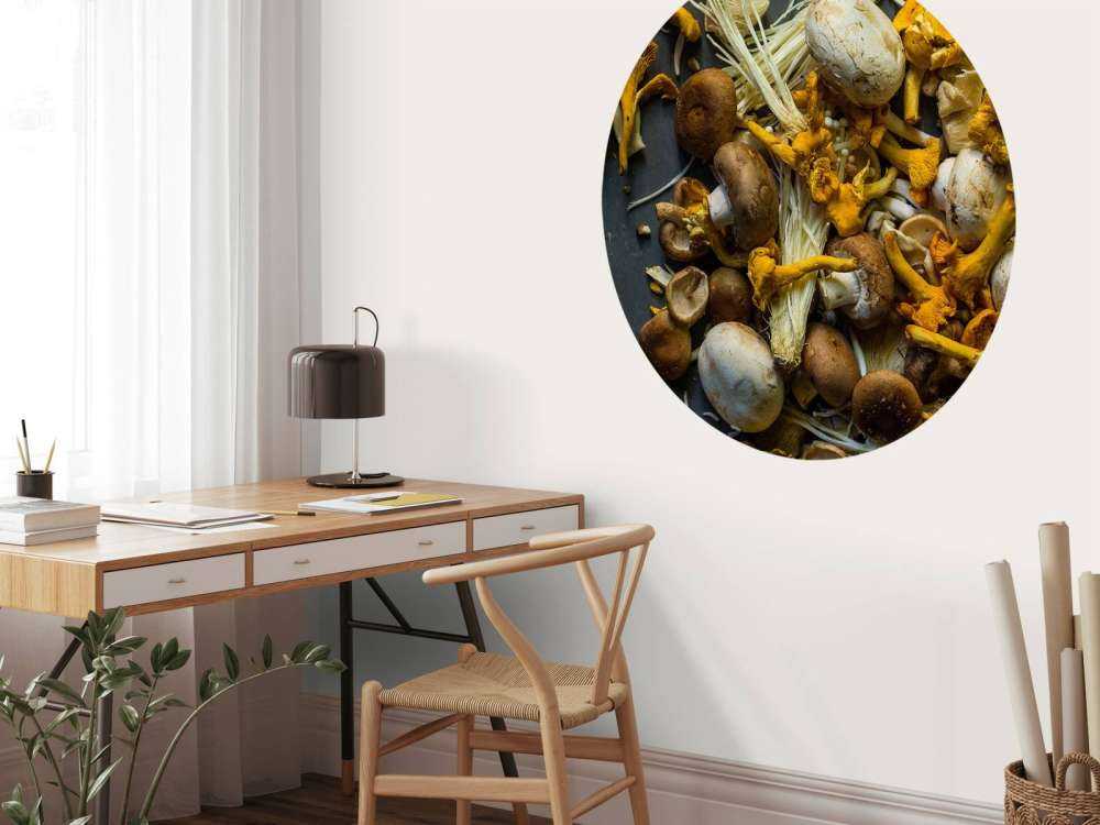 Différents champignons