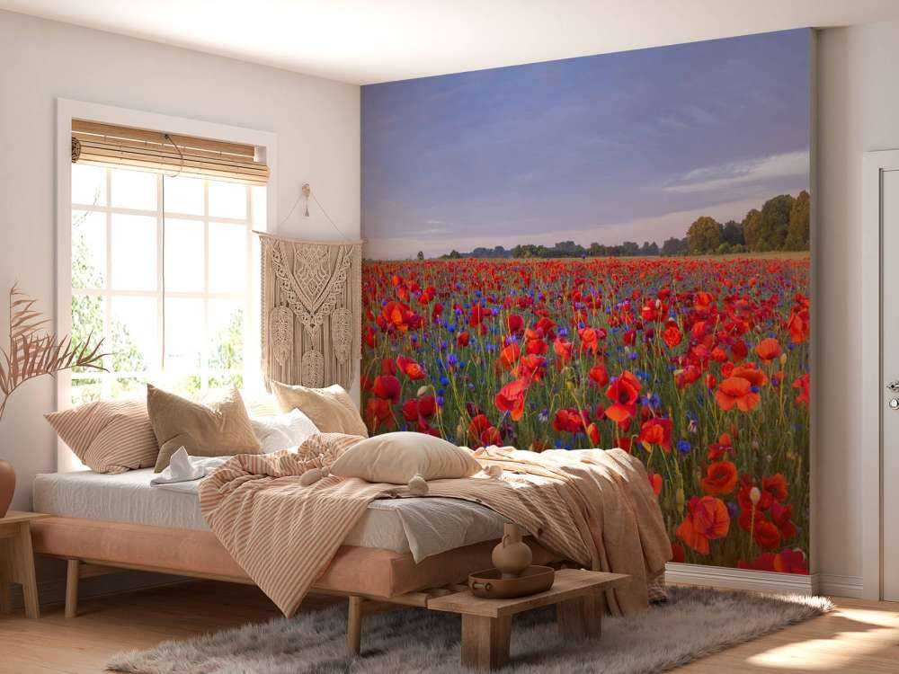 Fleurs bleues et coquelicots rouges