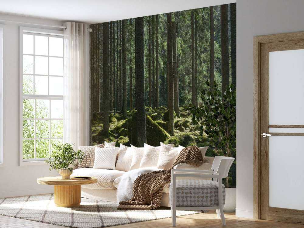 Matinée ensoleillée