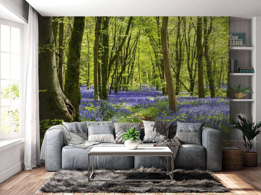 Forêt dans la lumière du soleil