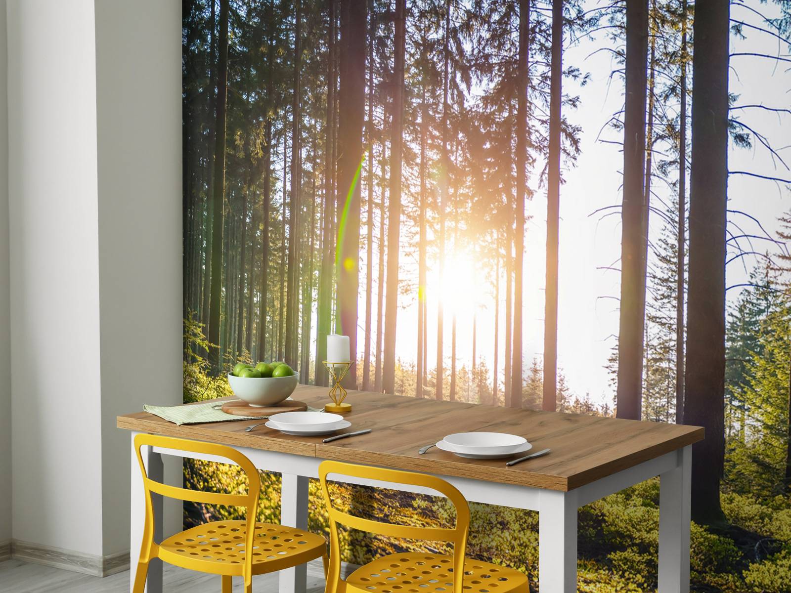 Forêt de printemps