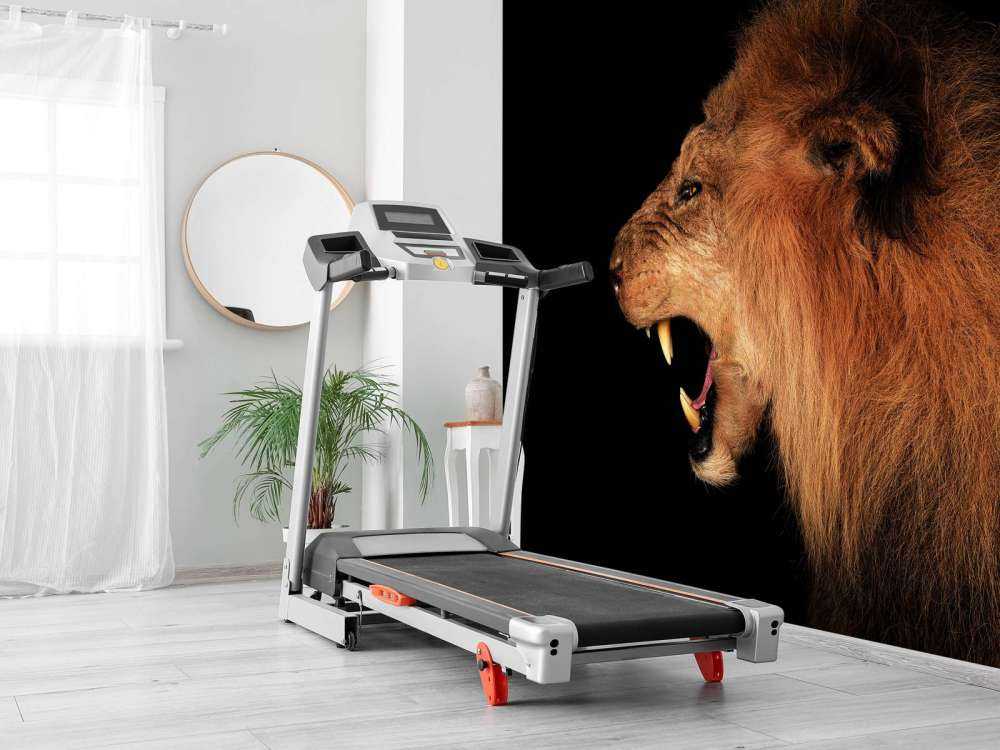 Lion rugissant