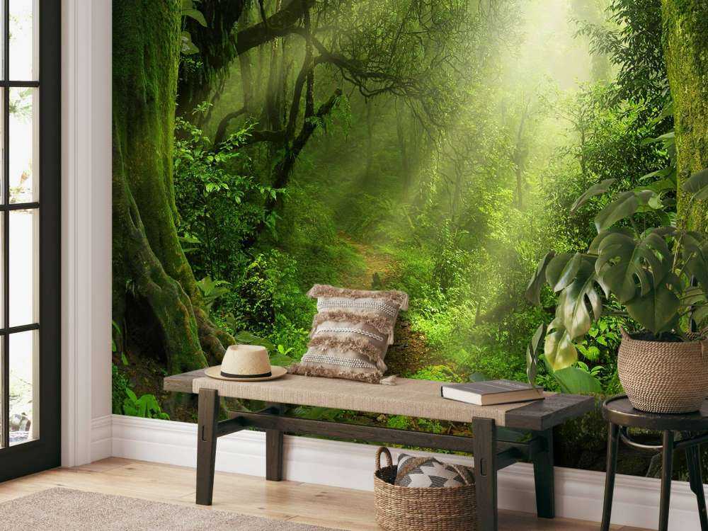 Jungle avec des rayons de soleil
