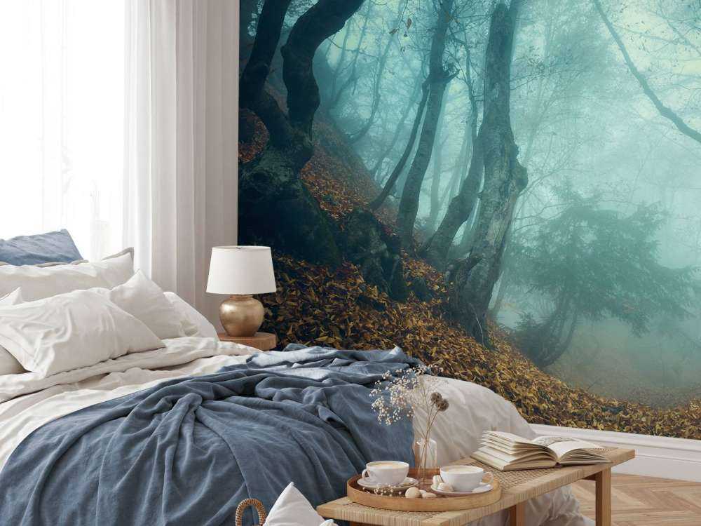 Forêt mystérieuse