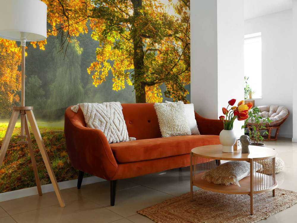 Arbre aux couleurs de l'automne