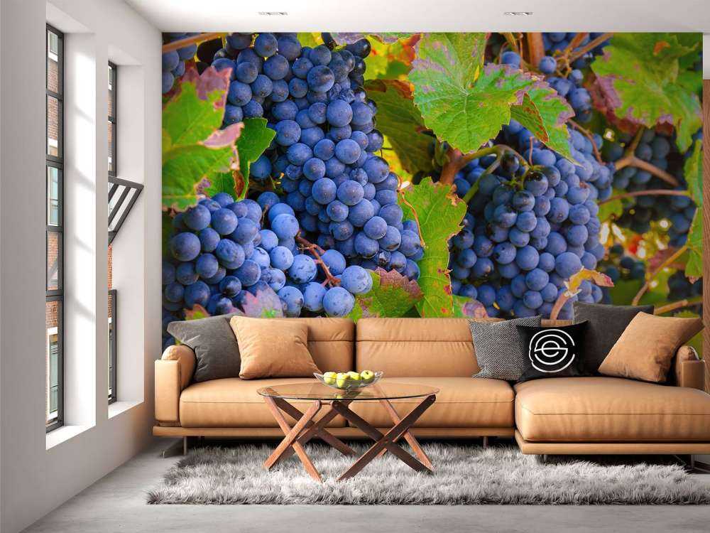 Raisins de cuve