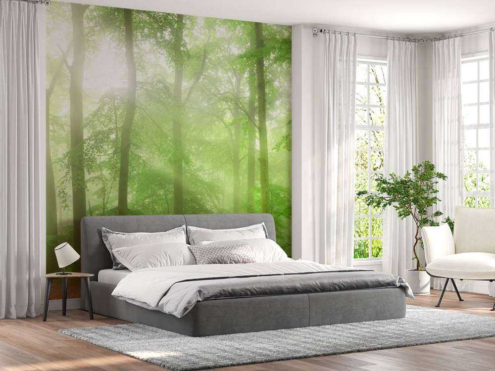 Panorama de forêt verte