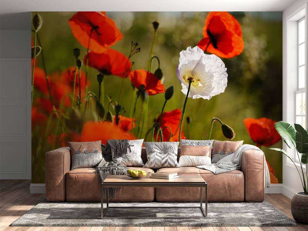 Groupe de coquelicots