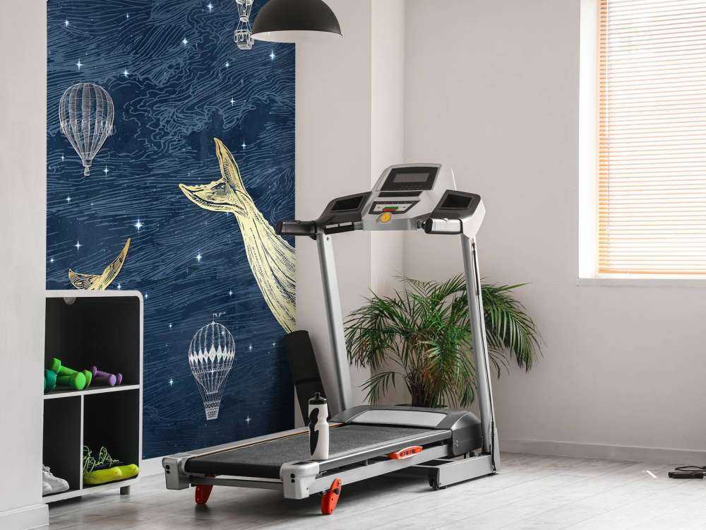 Baleine de l'espace