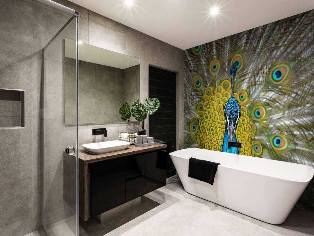 Vue de face d'un paon