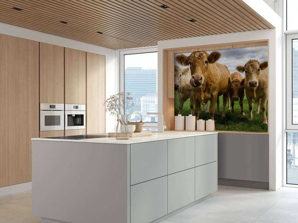 Vaches brunes