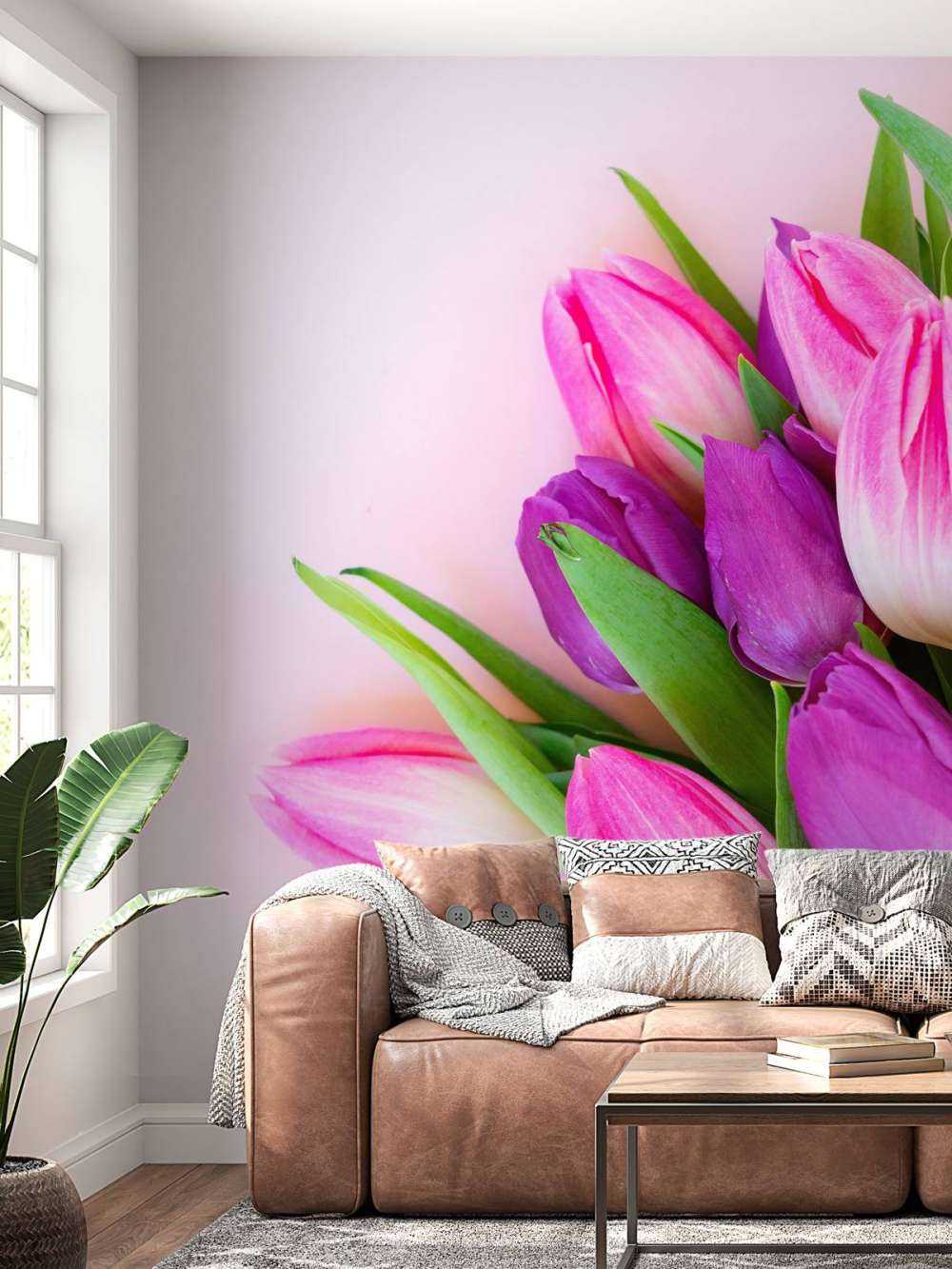 Tulipes roses
